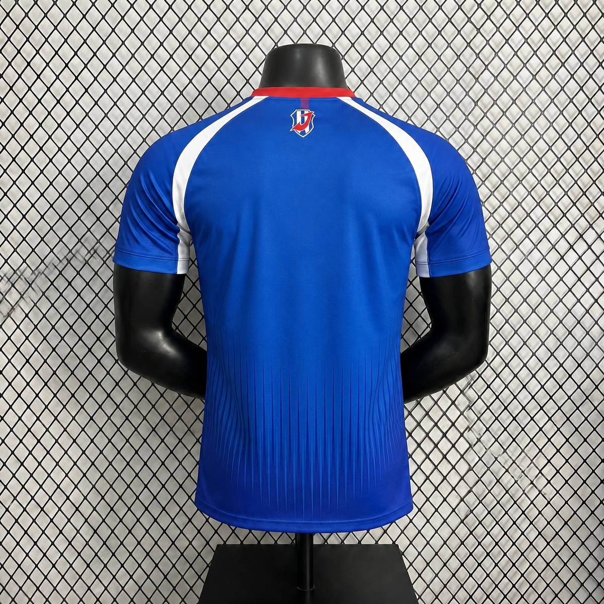 Camiseta I. Japón Legendario