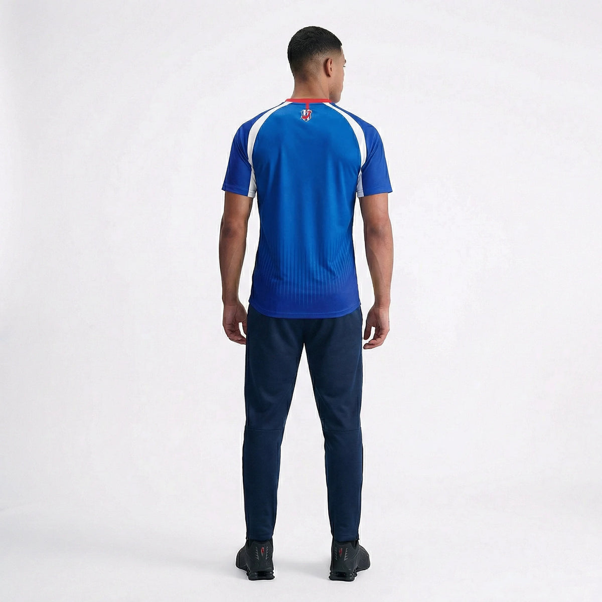 Camiseta I. Japón Legendario