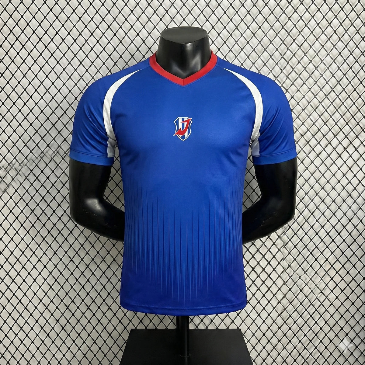Camiseta I. Japón Legendario